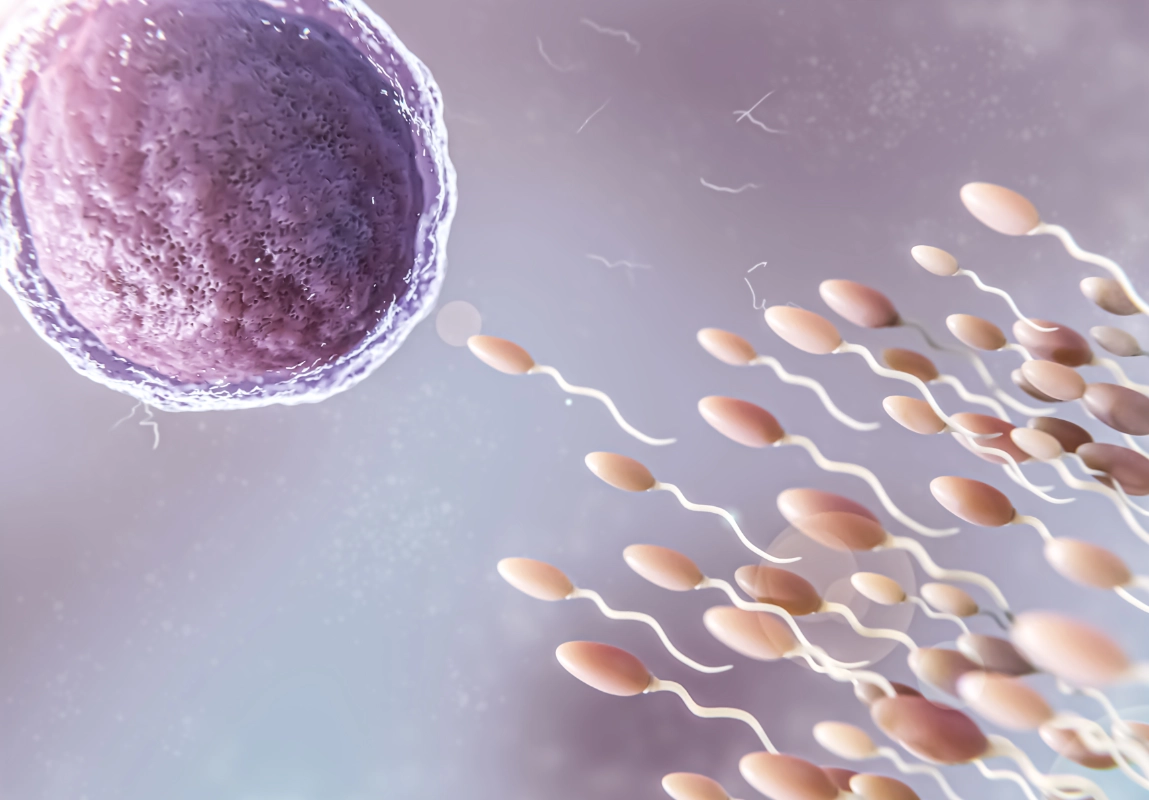 Inseminación intrauterina con la Dra. Eunice Zavala Chaparro