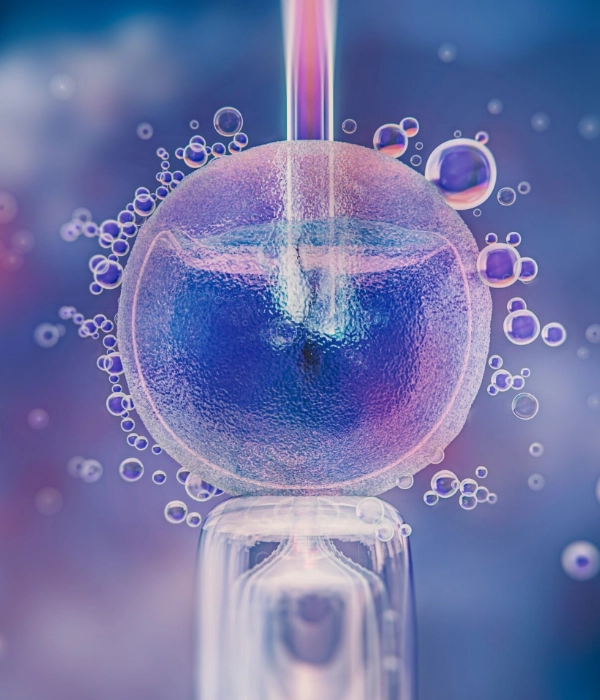 In vitro fertilization and assisted reproduction